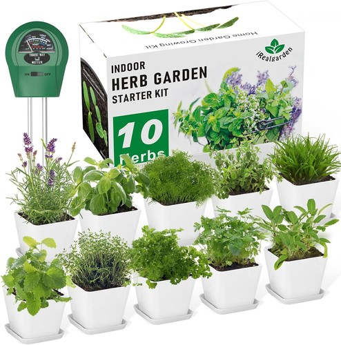 Herb garden kit - kit,