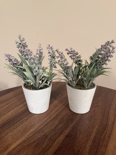Pair mini lavender pots - pair,
